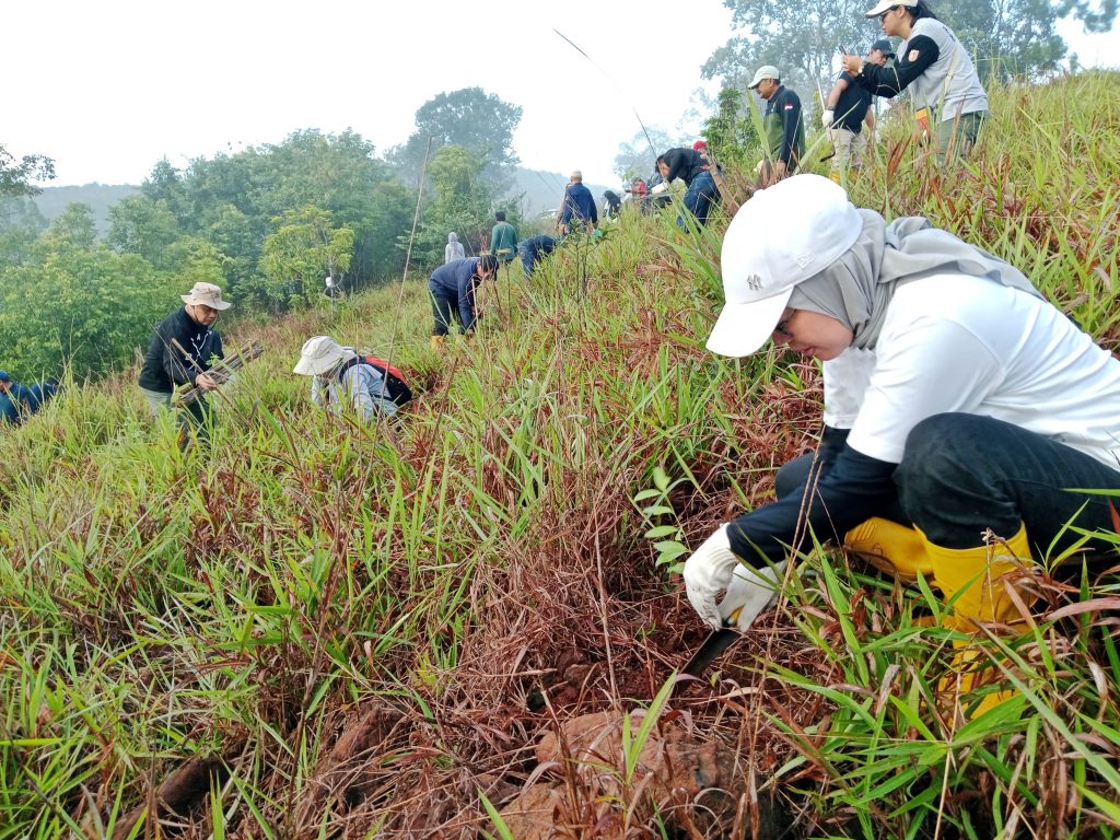 Pakat Integritas dan Penanaman Pohon, Dishut Kalsel Gelar Acara di Gunung Pamaton
