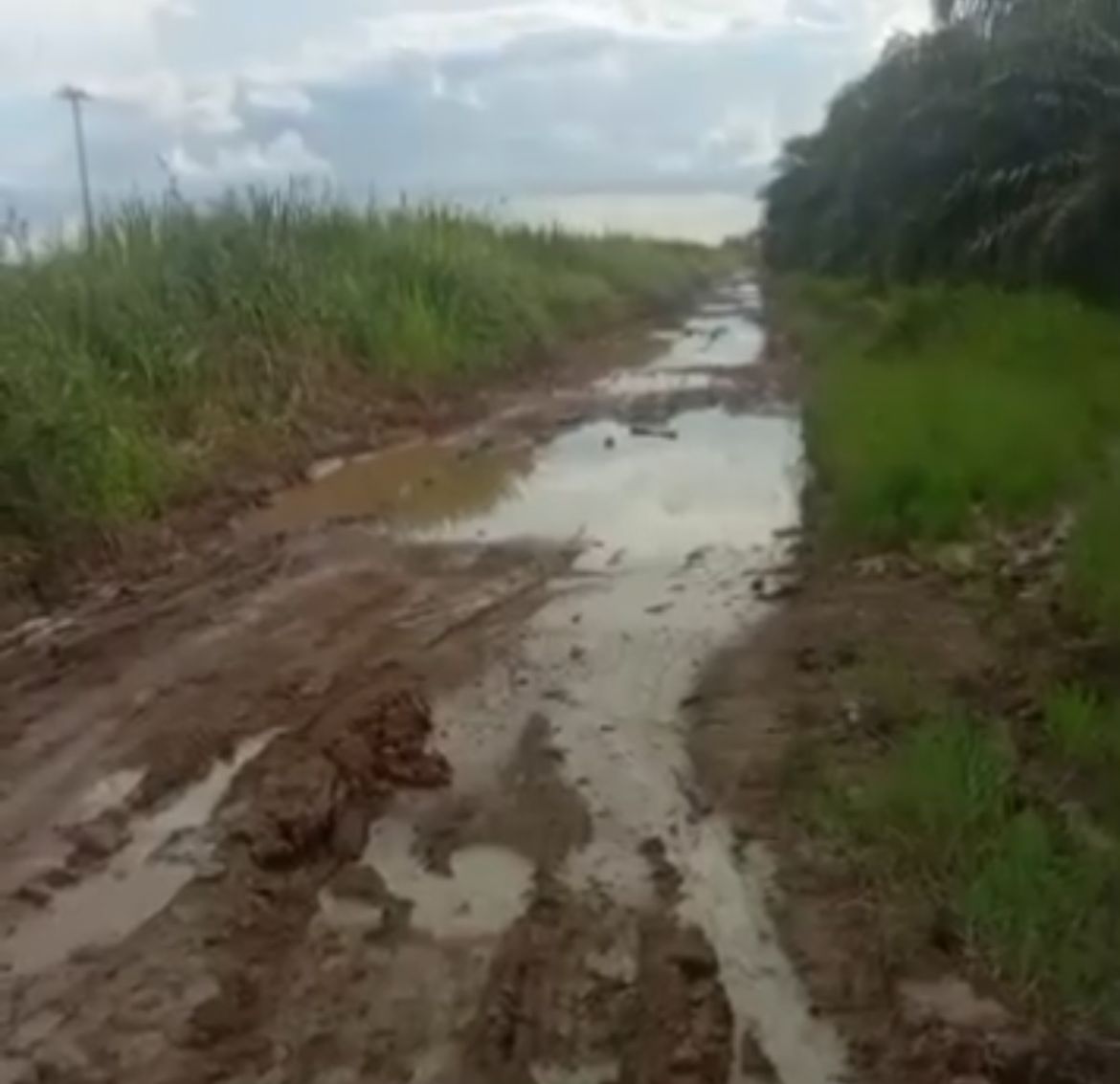 jalan rusak menuju cintapuri berlumpur dan berlubang