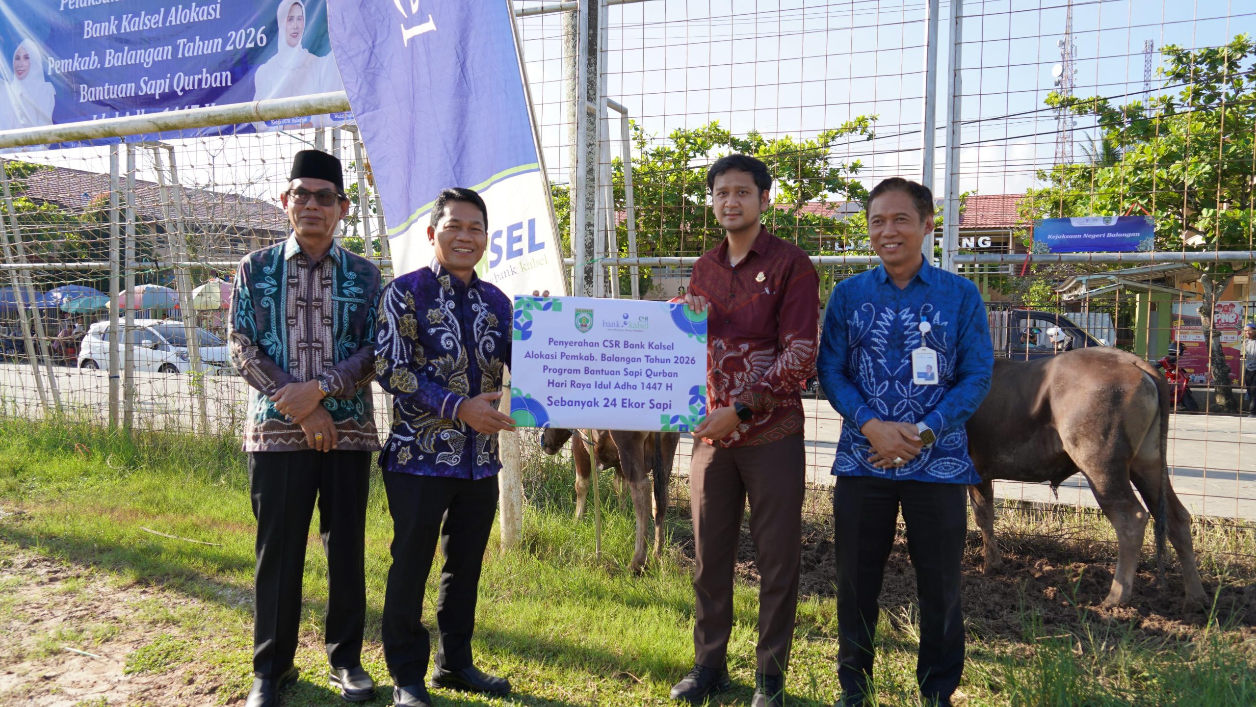 Penyerahan bantuan sapi kurban CSR Bank Kalsel di Lapangan Martasura Paringin