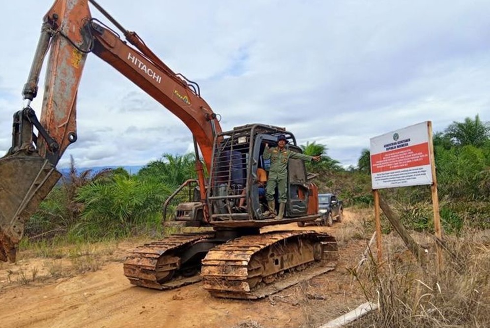 Penindakan perambahan hutan di kawasan Seblat Bengkulu