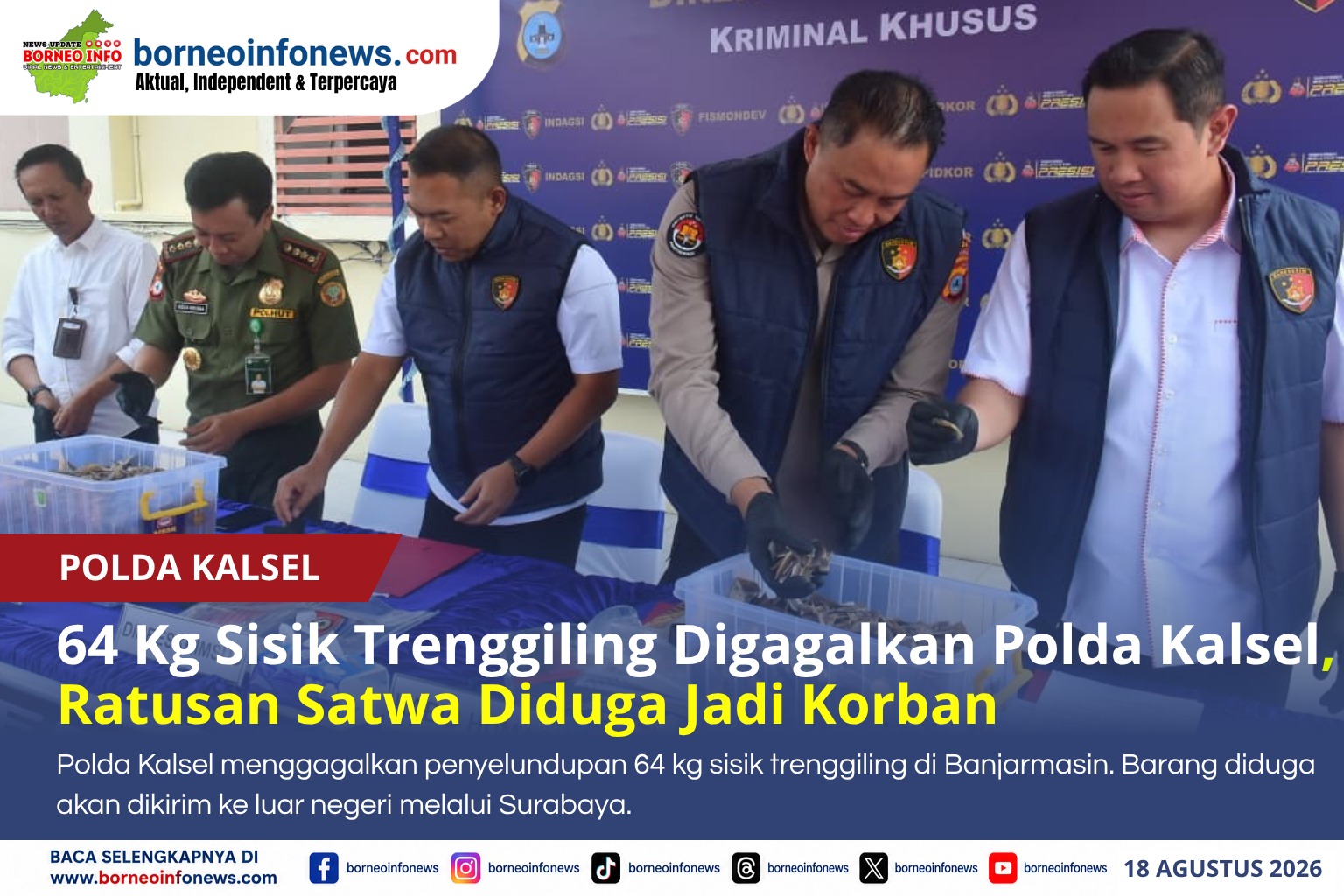 64 Kg Sisik Trenggiling Diselundupkan ke Luar Negeri, Ratusan Satwa Diduga Mati