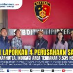 WALHI Kalsel melaporkan empat perusahaan sawit terkait dugaan karhutla ke Polda Kalsel